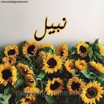 التاريخ السياسي المعاصر - @nabil.bahouche.7965 - Instagram