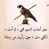 Nabil Bakri - @nabil.bakri16 - TikTok