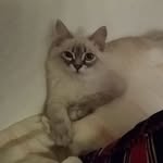 Nabil Haj Bakri - @nabil_haj_bakri - Instagram