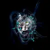Nabil Basha - @nabilbasha31 - TikTok