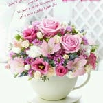 Nabil Basha - @basha3911 - Instagram