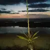 Berrada Nabil - @berrada.nabil2 - TikTok