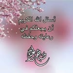 Nabil Berrada - @nabil.berrada.3194 - Instagram