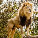 nabil berrada - @nabil_berrada_elhachimi - Instagram