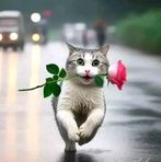 Nabil Costa - Facebook