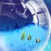 Nabil Daoud - Facebook