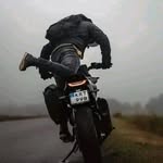 Nabil Dib - @nabildib71 - Instagram