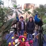Nabil Dib - @nabil.dib.315 - Instagram