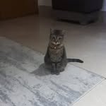 Nabil Ghali - @nabilghali2 - Instagram