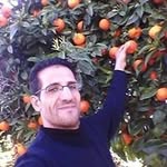 Nabil Hamama - @hamamanabil - Instagram