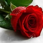 Rabab Imam - @rabab_nabil_imam - Instagram