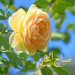 Nabil Maroun - Facebook