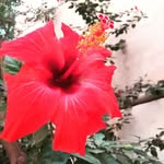 bahatte nabil.merzak - @nabil.merza - Instagram