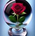 Nabil Mohammad - Facebook