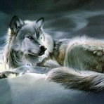 Nabil Morgan - Facebook