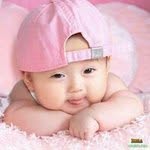 بلبل حيران - @nabilmurad50 - Instagram