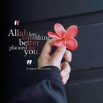 Md Shakeel Nabil Quadri - @quadris334 - Instagram