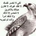 Nabil Razzouk - Facebook