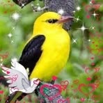 Nabil Said - Facebook