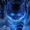 Nabil Saidia - @nabil.saidia8 - TikTok