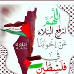NABIL SALAMEH - @nabil12345513 - Instagram