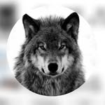 Nabil Shaikh - @nabil_shaikh_619 - Instagram
