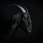 Nabil Smith - Facebook