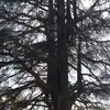 Nabil Talha - @nabil.talha2 - TikTok