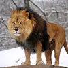 نبيل وهبه_123 - @nabilwehbeh2 - TikTok
