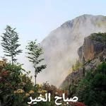 Nabil Wehbe - @wehbe150261 - Instagram