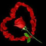 @nabilwehbe - Instagram