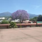 Nabor Hernandez Jeronimo - @jeronimo_nadia - Instagram