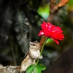 Nachhatter Singh - @nachhatter.singh.9847 - Instagram