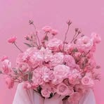 Nada Adam - Facebook