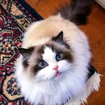 nada adam - @nada_adam____ - Instagram