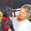 bauernada - @bauernada - TikTok
