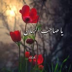 Nada AlAli - Facebook