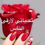 Nada Elali - @elalinada - Instagram