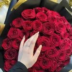 Nada Hammad - @nada.nada3738 - Instagram