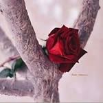 Nada Hâmmøüđ - @nada.hammoud21 - Instagram