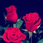 Nada Hammoud - @nada_hammoud1 - Instagram