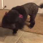 Nada Jones - @daisy_head_maisy - Instagram
