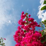Nada Jovanović - @nada.jovanovic1952 - Instagram