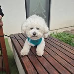 Nađa Jovanović - @marli_nadja - Instagram
