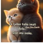 Nada Jovanovic - @nadajovanovic54 - Instagram
