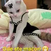 Nadina - @nada.jovanovic10 - TikTok