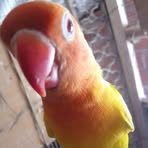 Karime Nada - Facebook