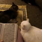 Nada Karime - Facebook