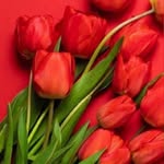 @nada_makki__ - Instagram