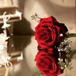 ندى المصري nada masri - @nada.masri23 - Instagram